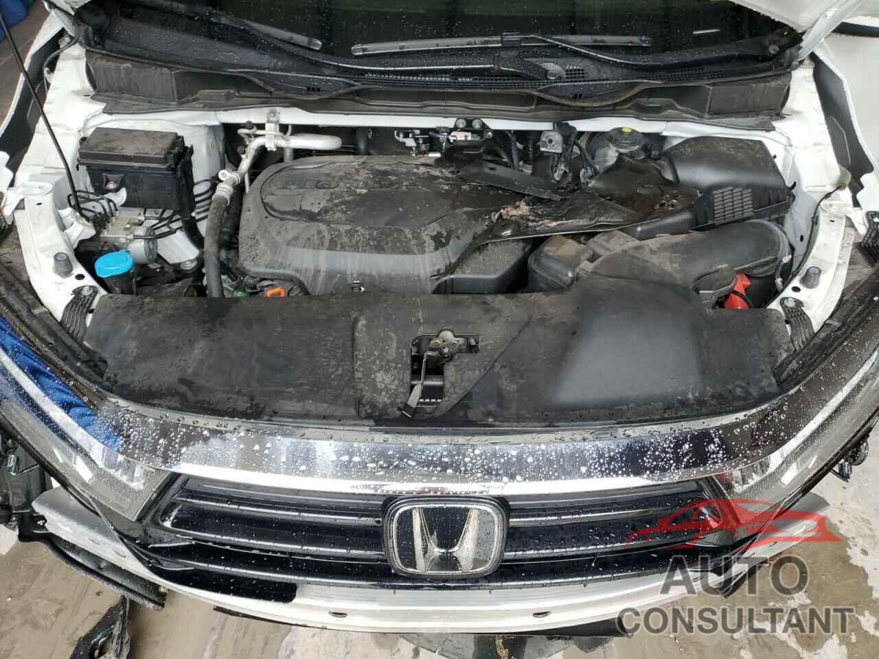 HONDA All Models 2021 - 5FNRL6H71MB024172