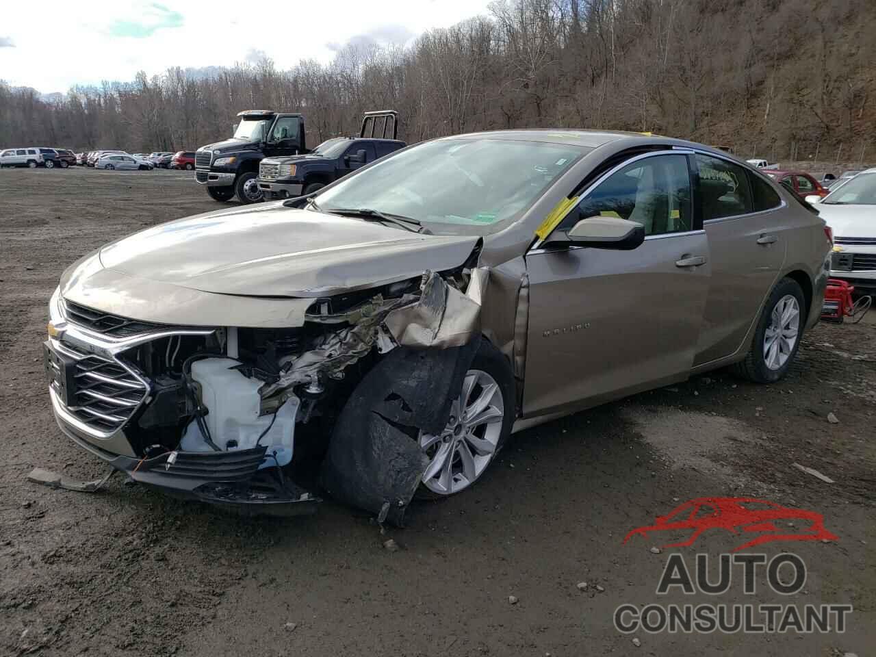 CHEVROLET MALIBU 2022 - 1G1ZD5ST5NF123001