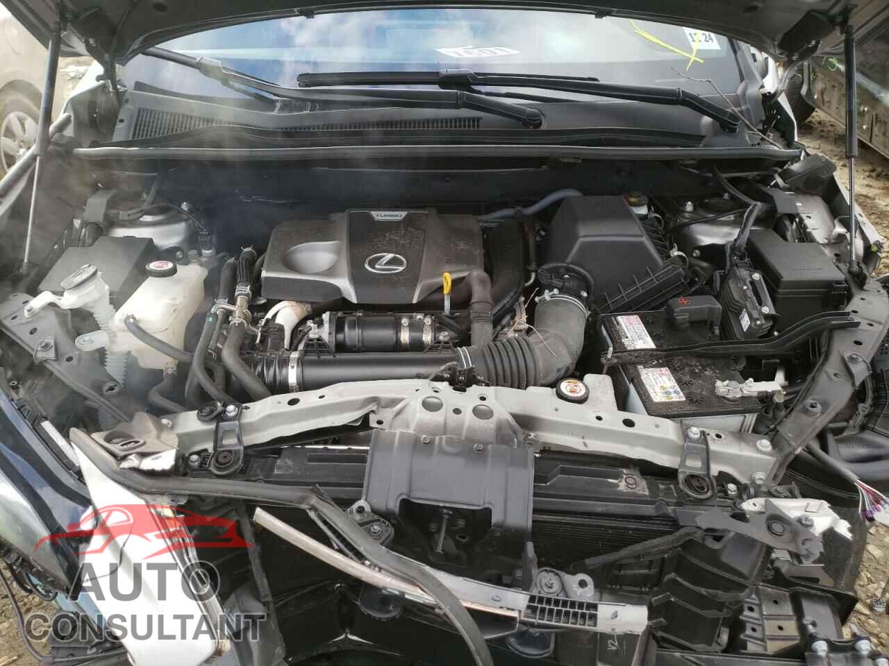 LEXUS NX 2020 - 1N4AA6AP8GC380560