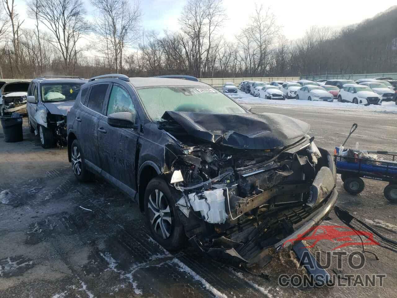 TOYOTA RAV4 2017 - 2T3BFREV6HW604367
