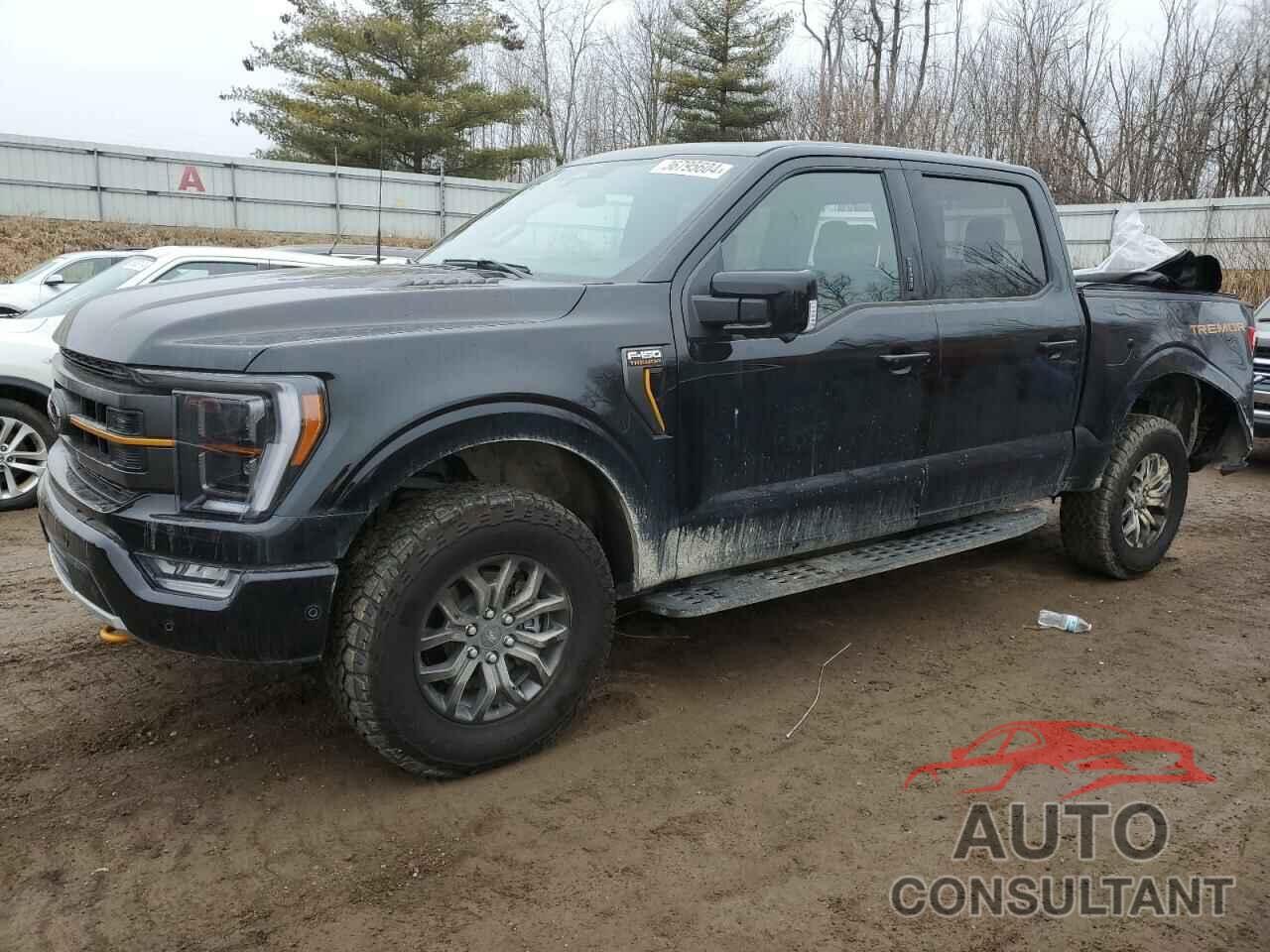 FORD F-150 2023 - 1FTFW1E57PFB41769