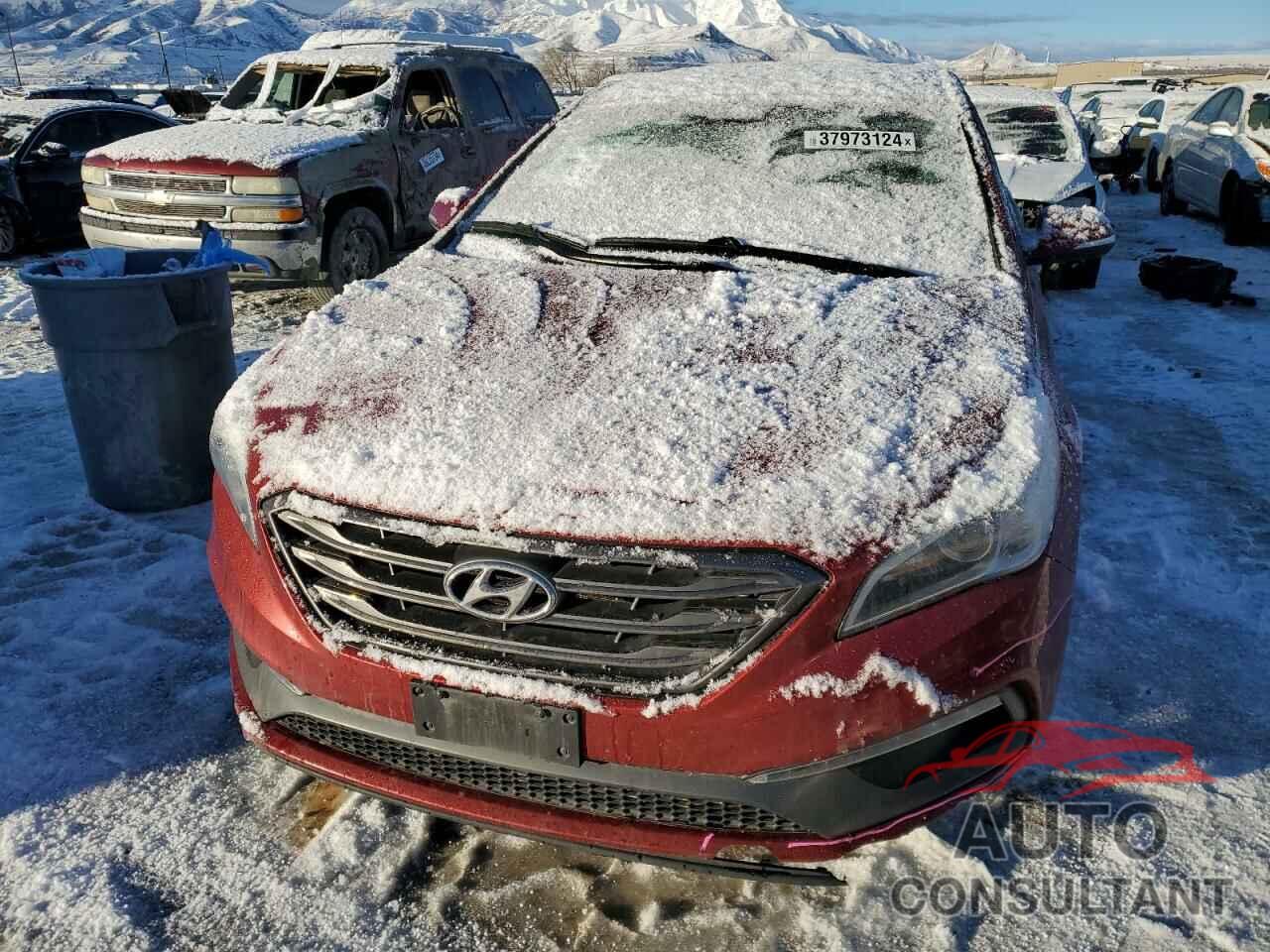 HYUNDAI SONATA 2016 - 5NPE34AF9GH325024