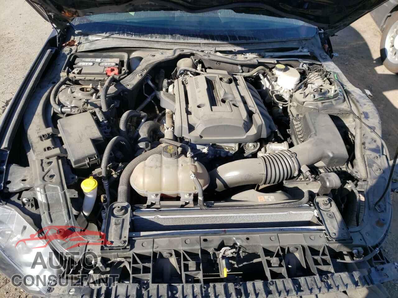 FORD MUSTANG 2018 - 1FA6P8TH4J5117502