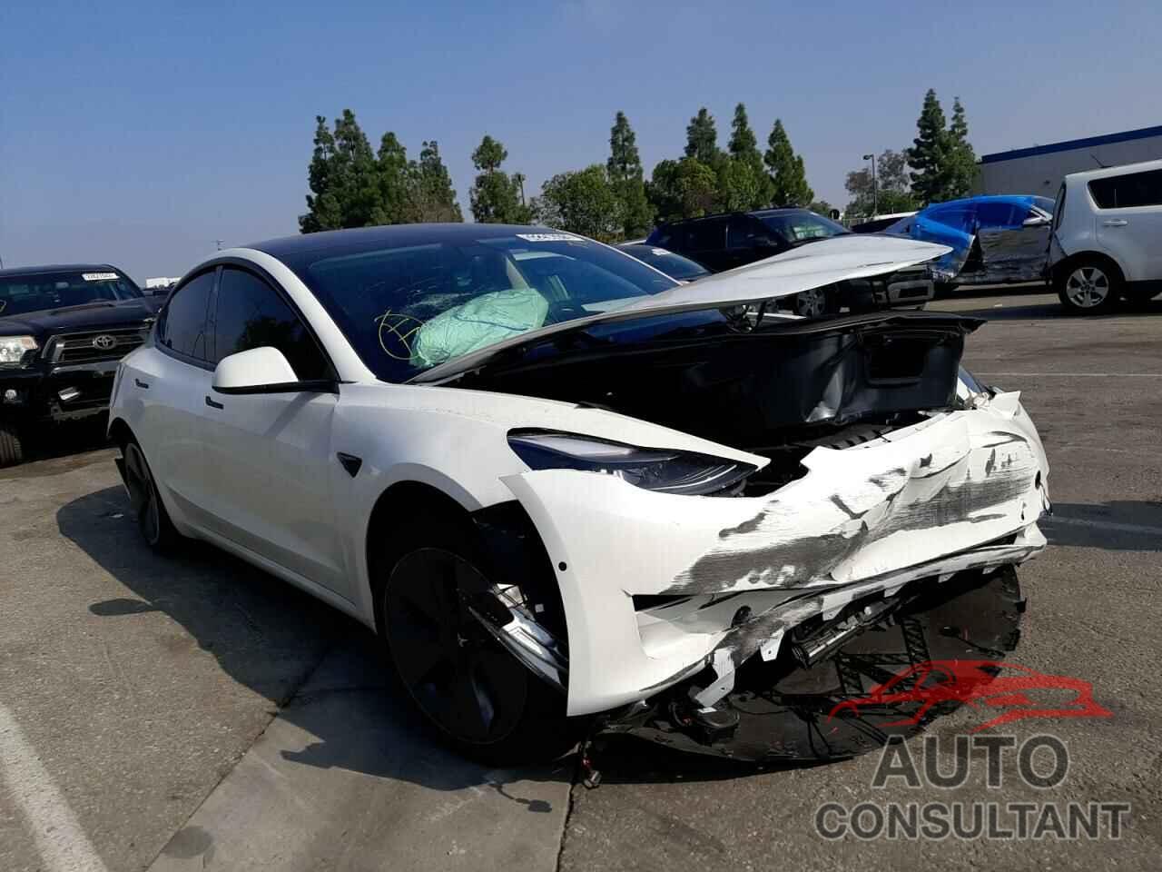 TESLA MODEL 3 2021 - 5YJ3E1EA7MF099798