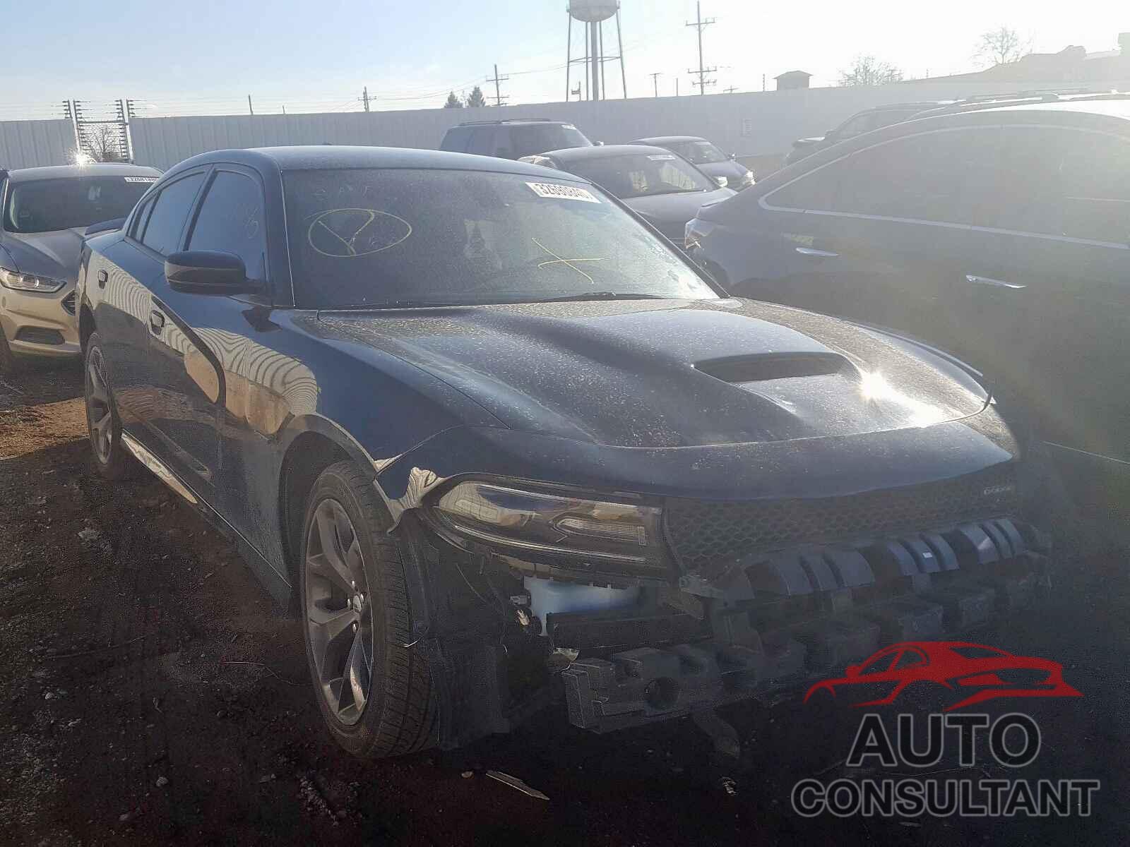 DODGE CHARGER 2019 - 2HGFC2F8XMH531011