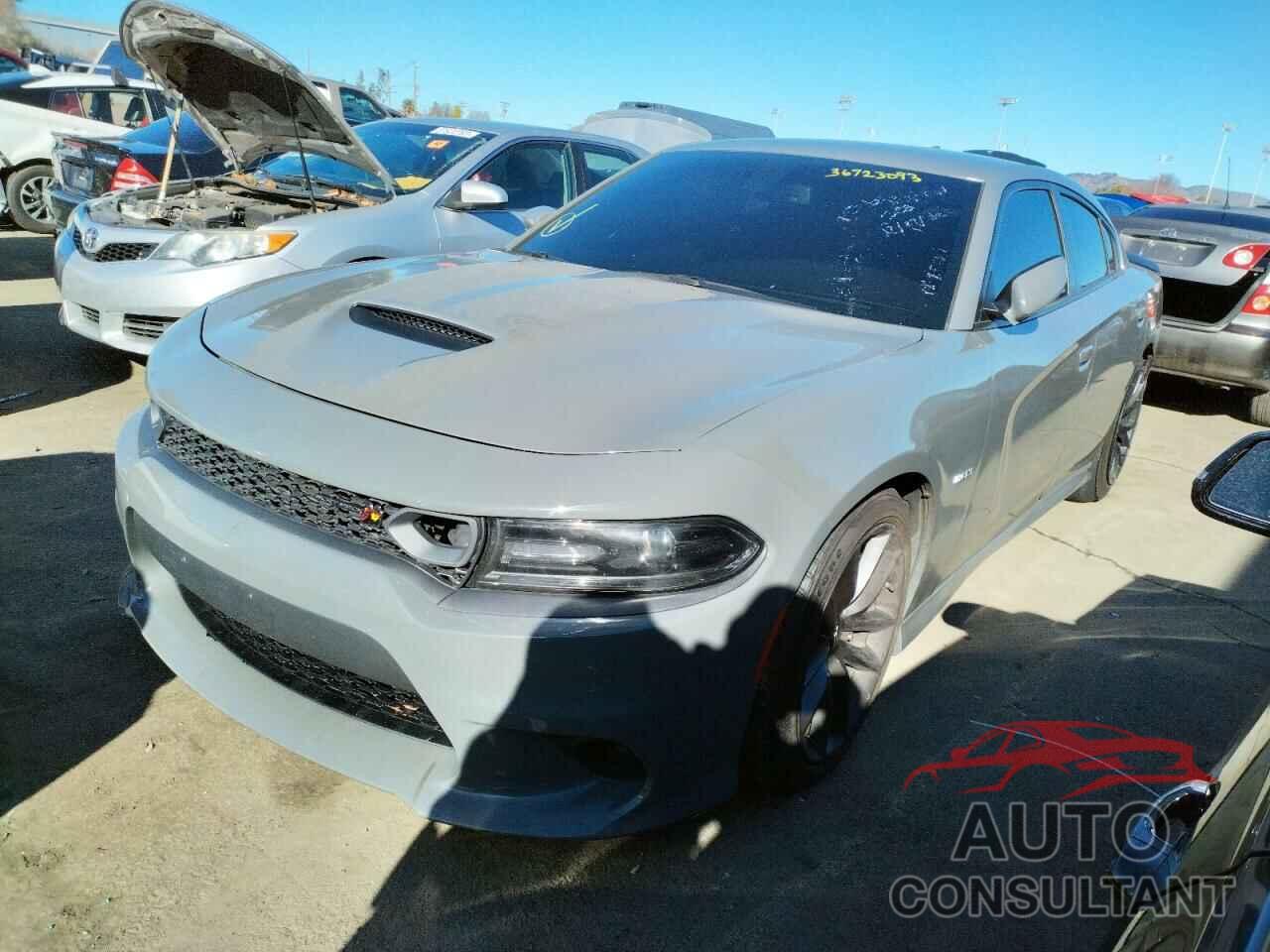 DODGE CHARGER 2019 - 2C3CDXGJ3KH576290
