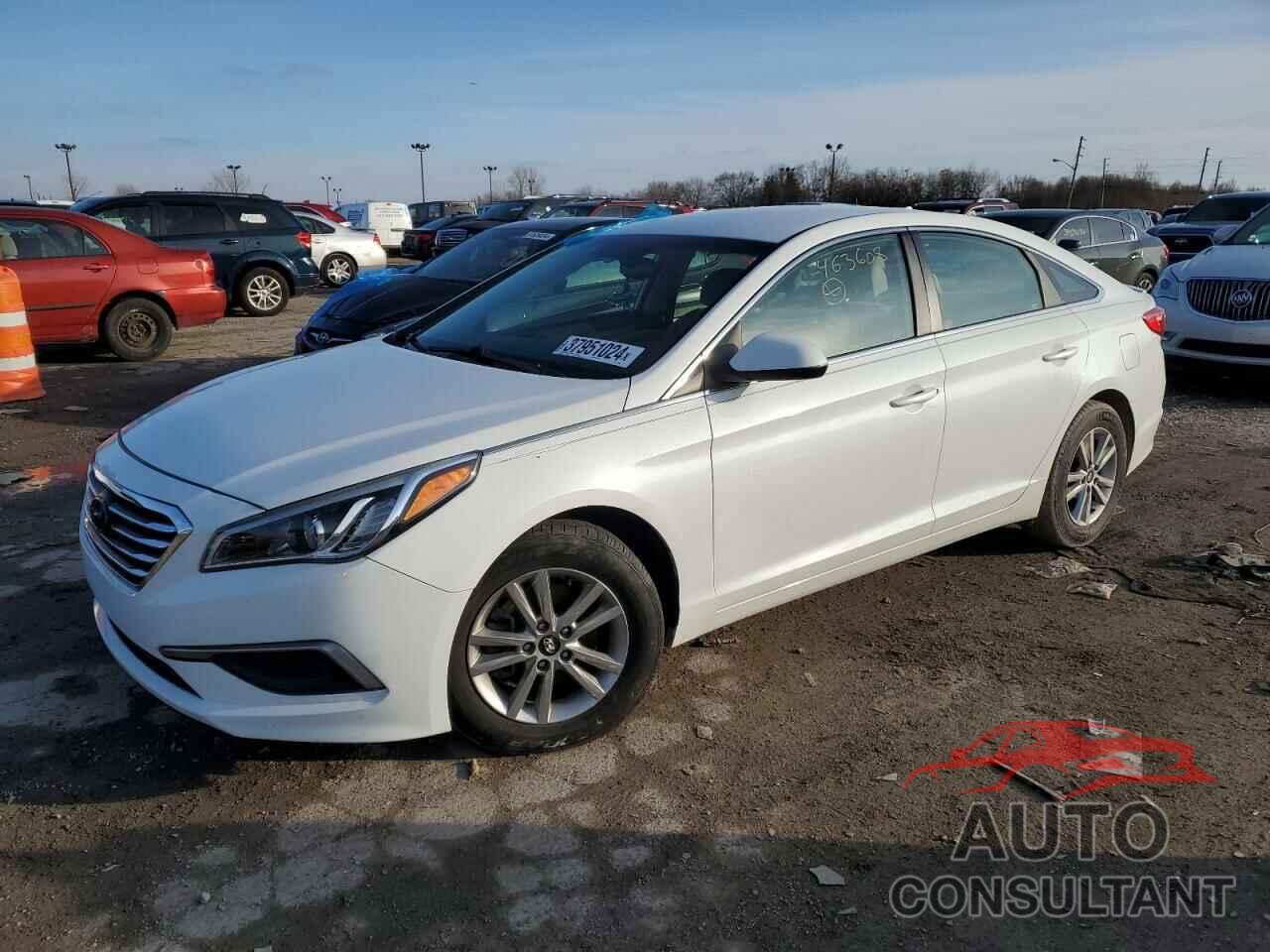 HYUNDAI SONATA 2017 - 5NPE24AF6HH463608