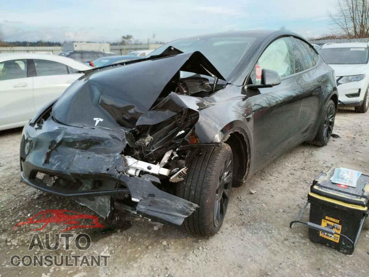 TESLA MODEL Y 2021 - 5YJYGDEEXMF183103