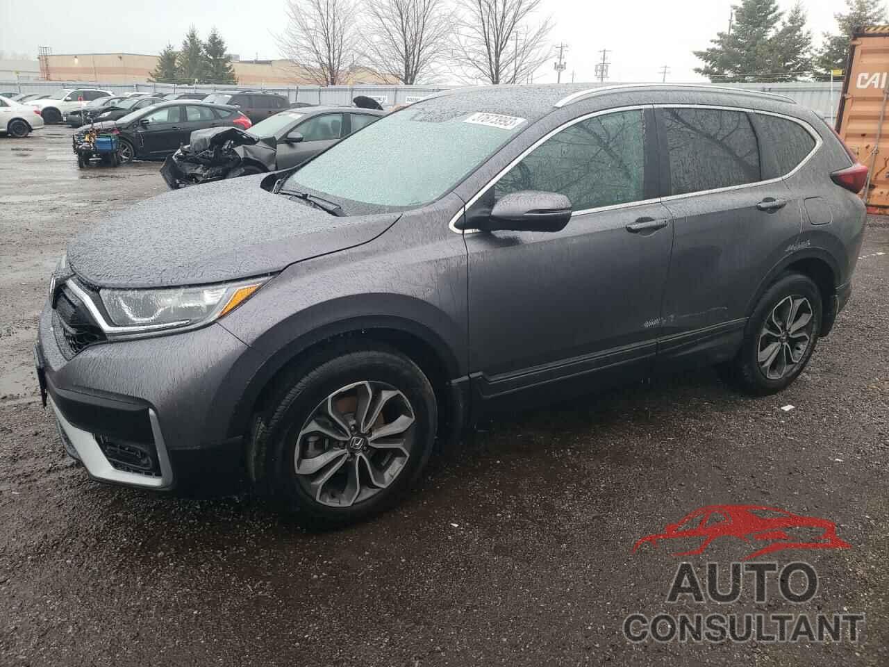 HONDA CRV 2022 - 2HKRW2H81NH205896