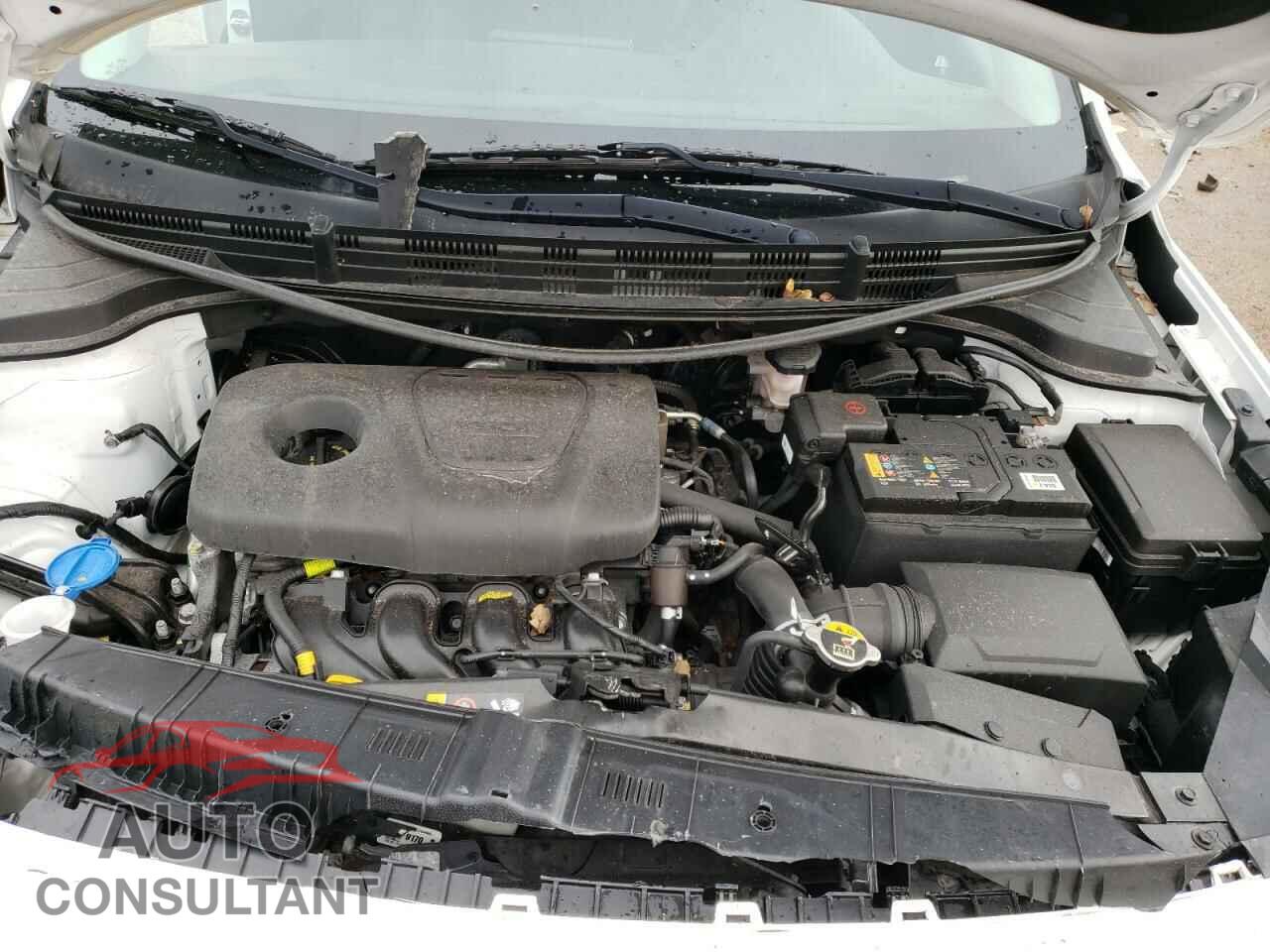 KIA RIO 2019 - 3KPA24AB7KE174485