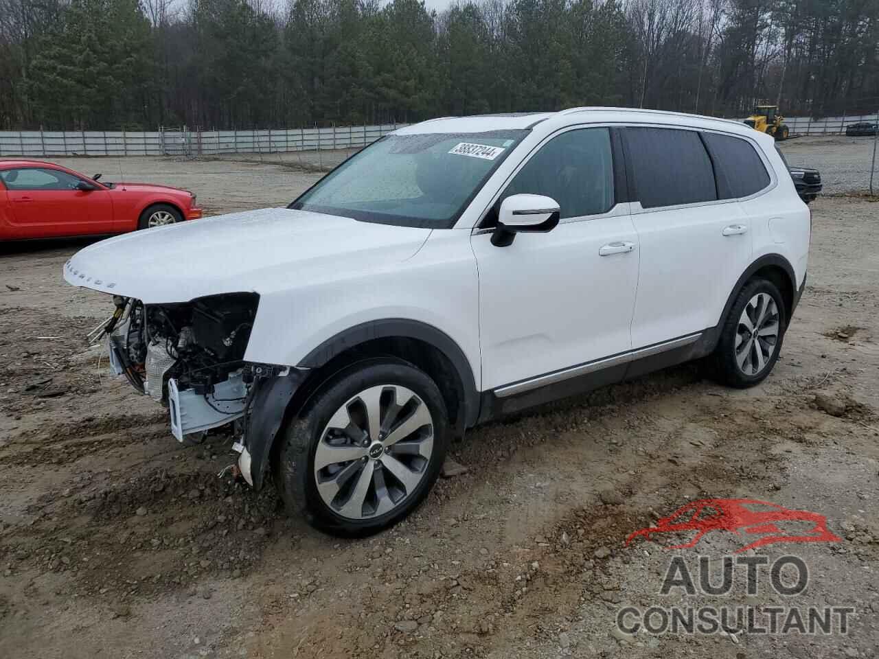 KIA TELLURIDE 2022 - 5XYP34HCXNG279325