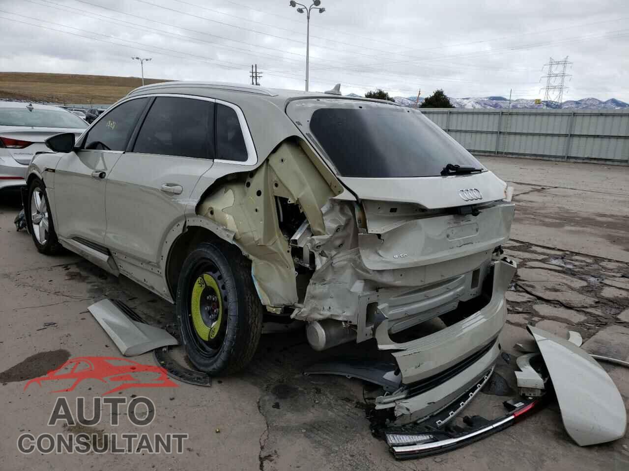 AUDI E-TRON 2019 - WA1VABGEXKB021360
