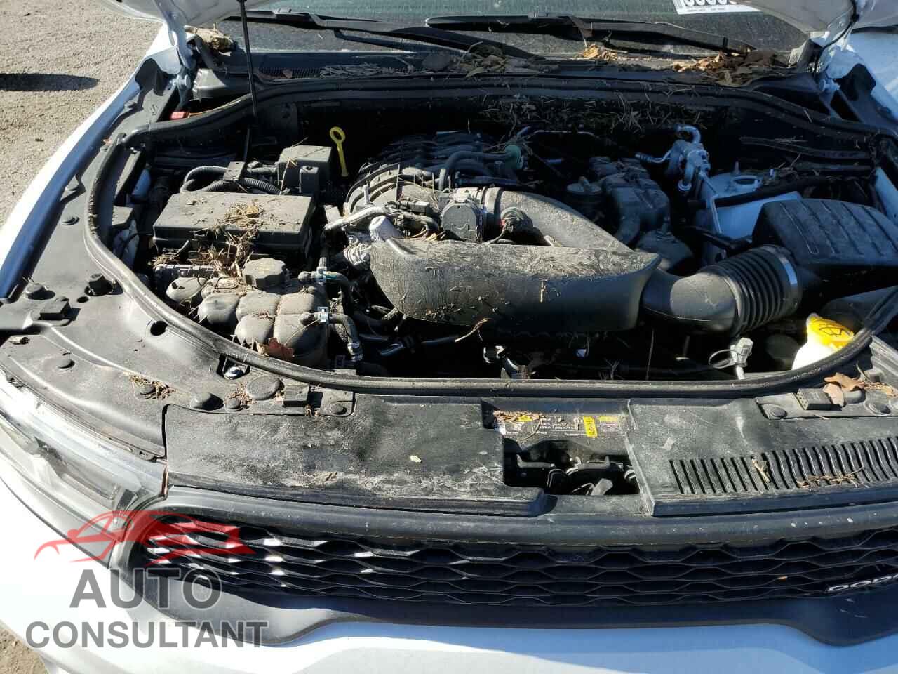 DODGE DURANGO 2023 - 1C4RDJDG8PC555778