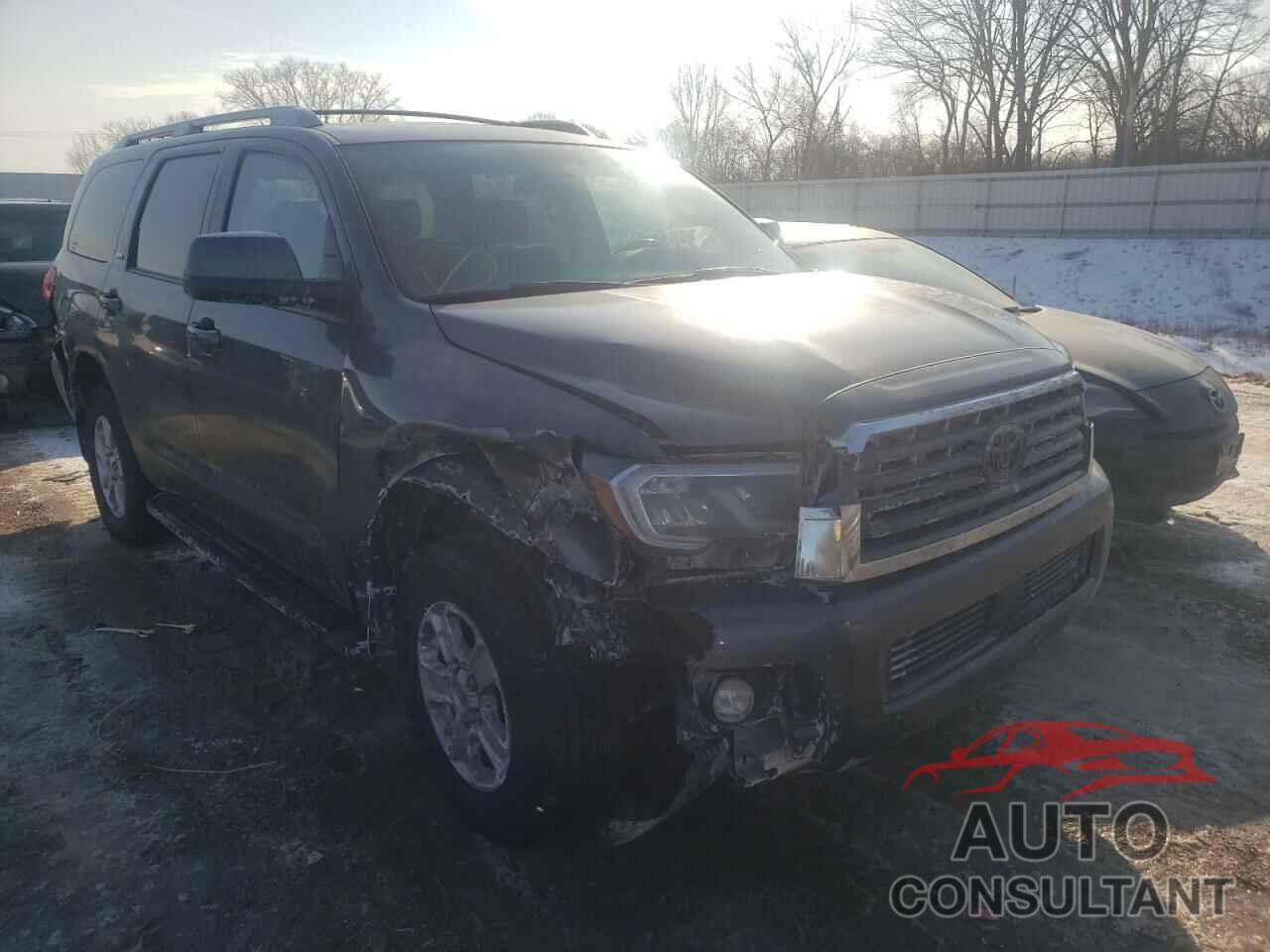 TOYOTA SEQUOIA 2019 - 5TDBY5G13KS170978
