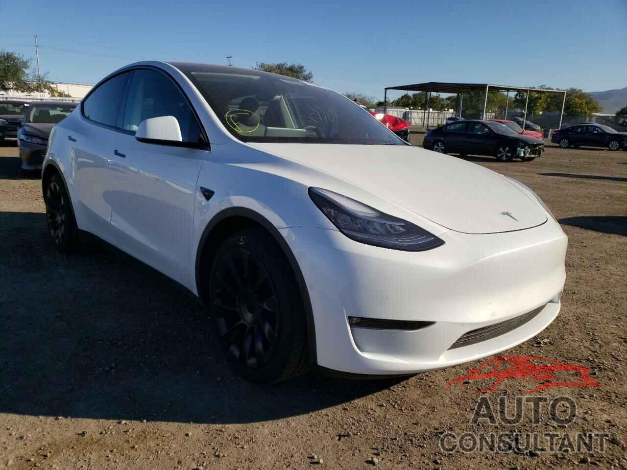 TESLA MODEL Y 2021 - 5YJYGDEE5MF231204
