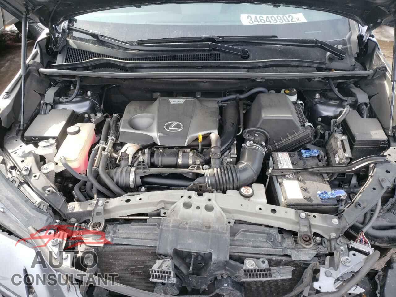 LEXUS NX 2019 - 3N1CP5CV6LL481105