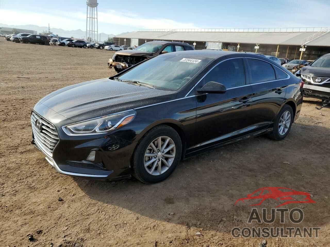 HYUNDAI SONATA 2019 - 5NPE24AF5KH793697