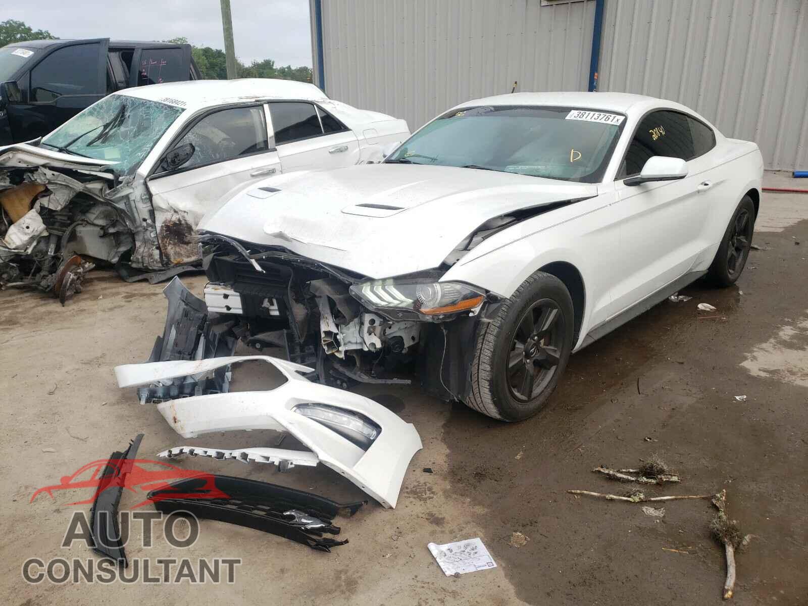 FORD MUSTANG 2019 - 1FA6P8TH0K5167248