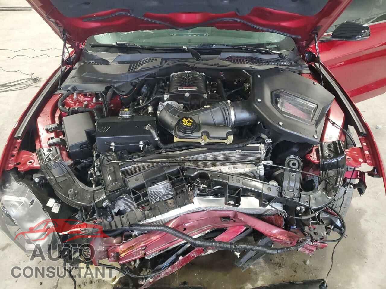 FORD MUSTANG 2019 - 1FA6P8CF4K5116544