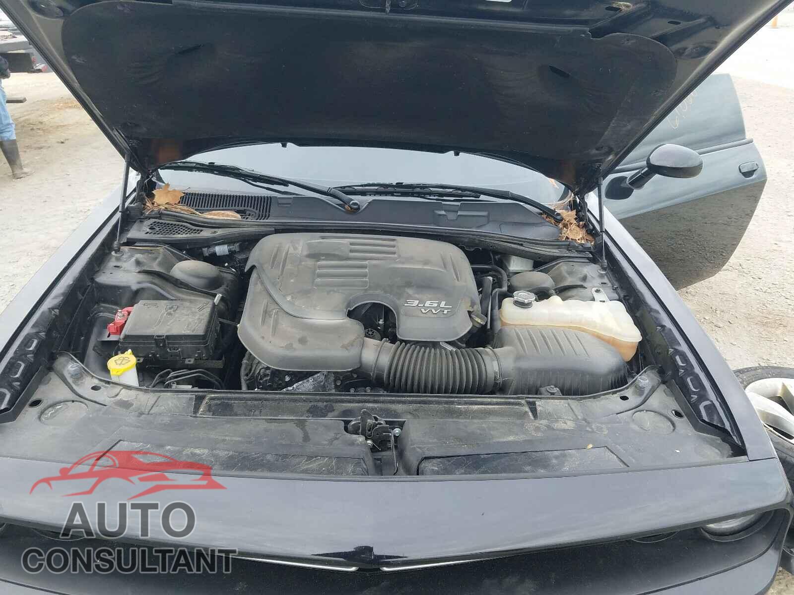 DODGE CHALLENGER 2019 - 2C3CDZAGXKH505841