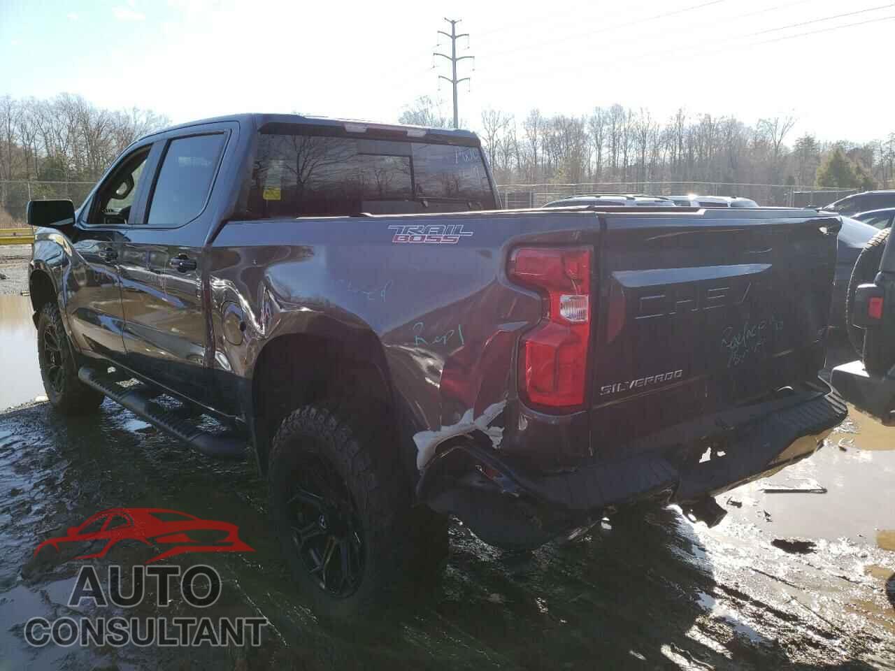 CHEVROLET SILVERADO 2019 - 1GCPYFED9KZ244024