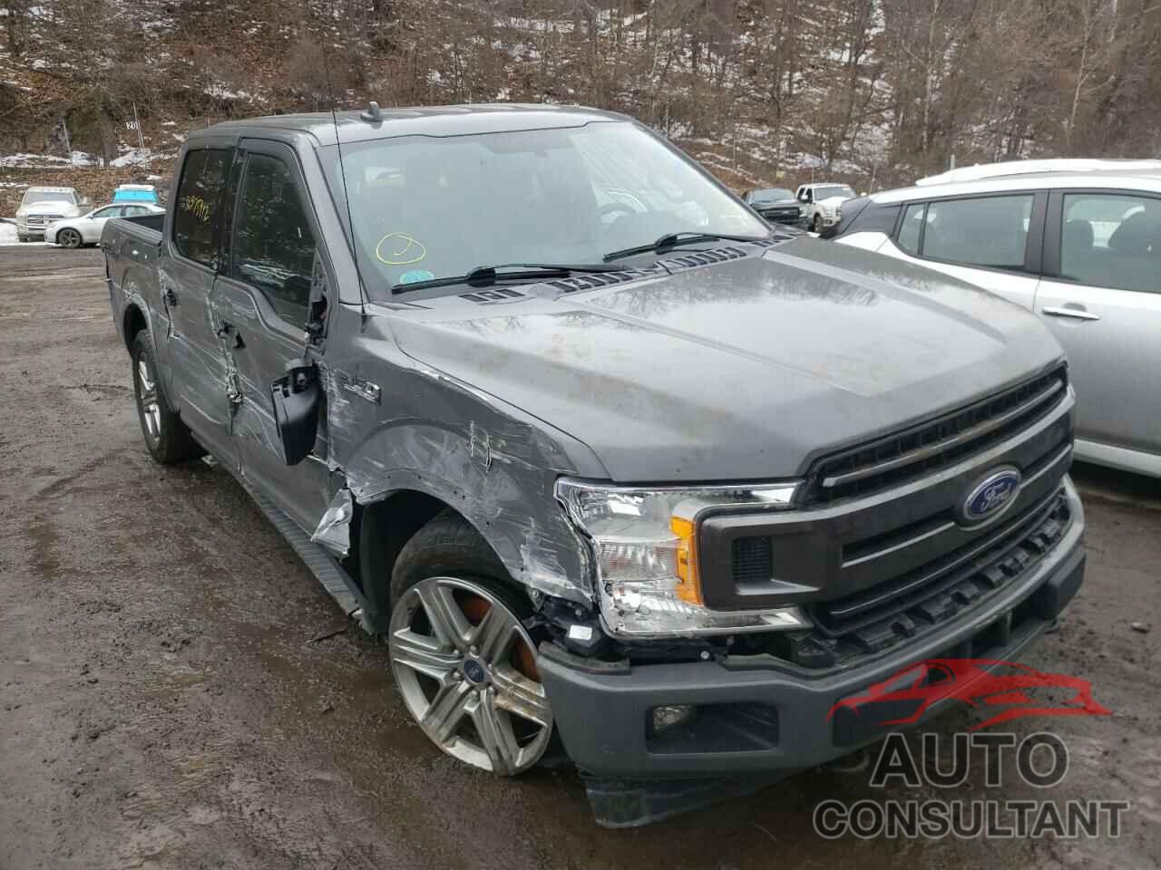 FORD F-150 2018 - 1FTEW1EGXJFD01096