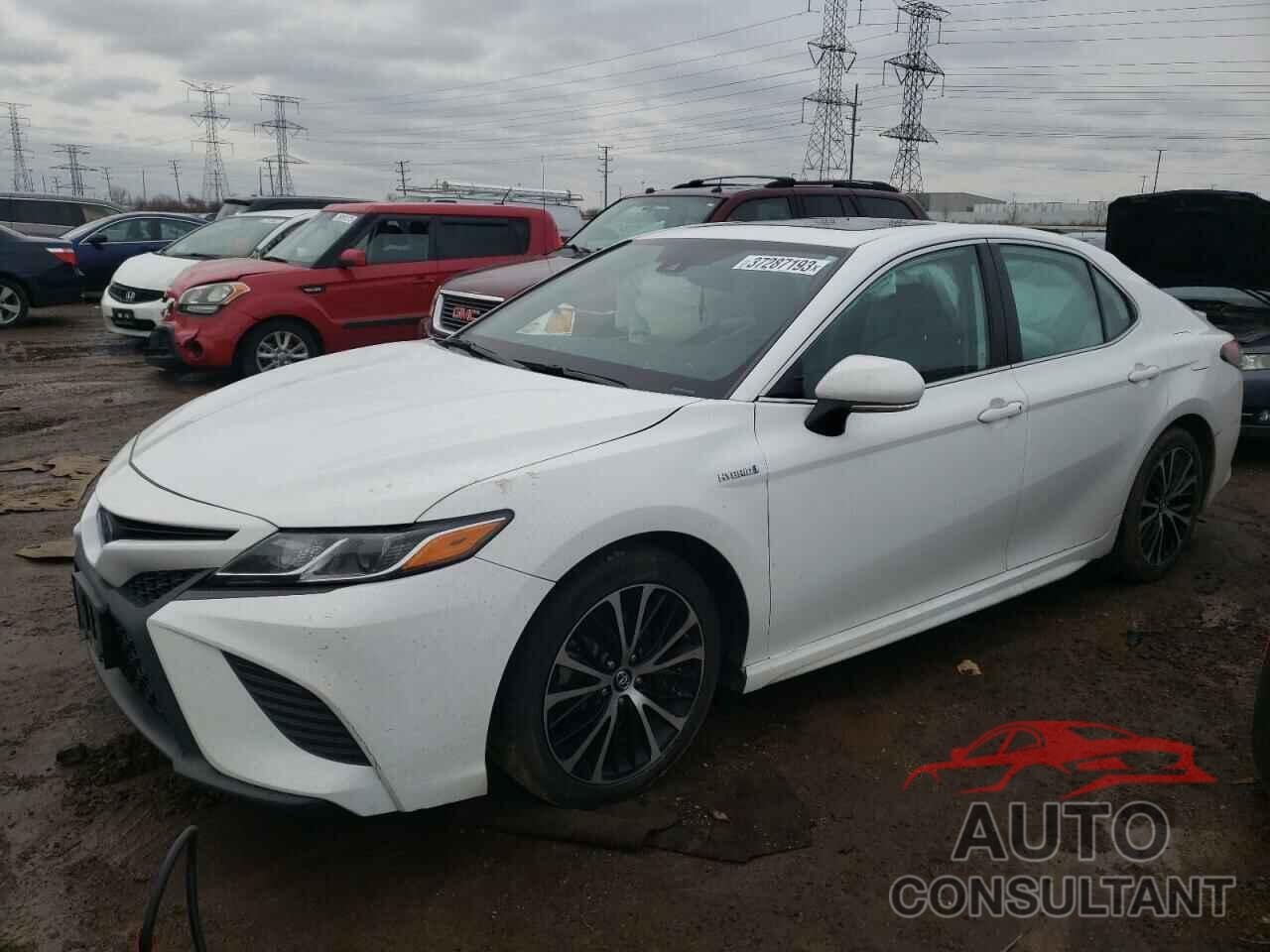 TOYOTA CAMRY 2019 - 4T1B21HKXKU521927