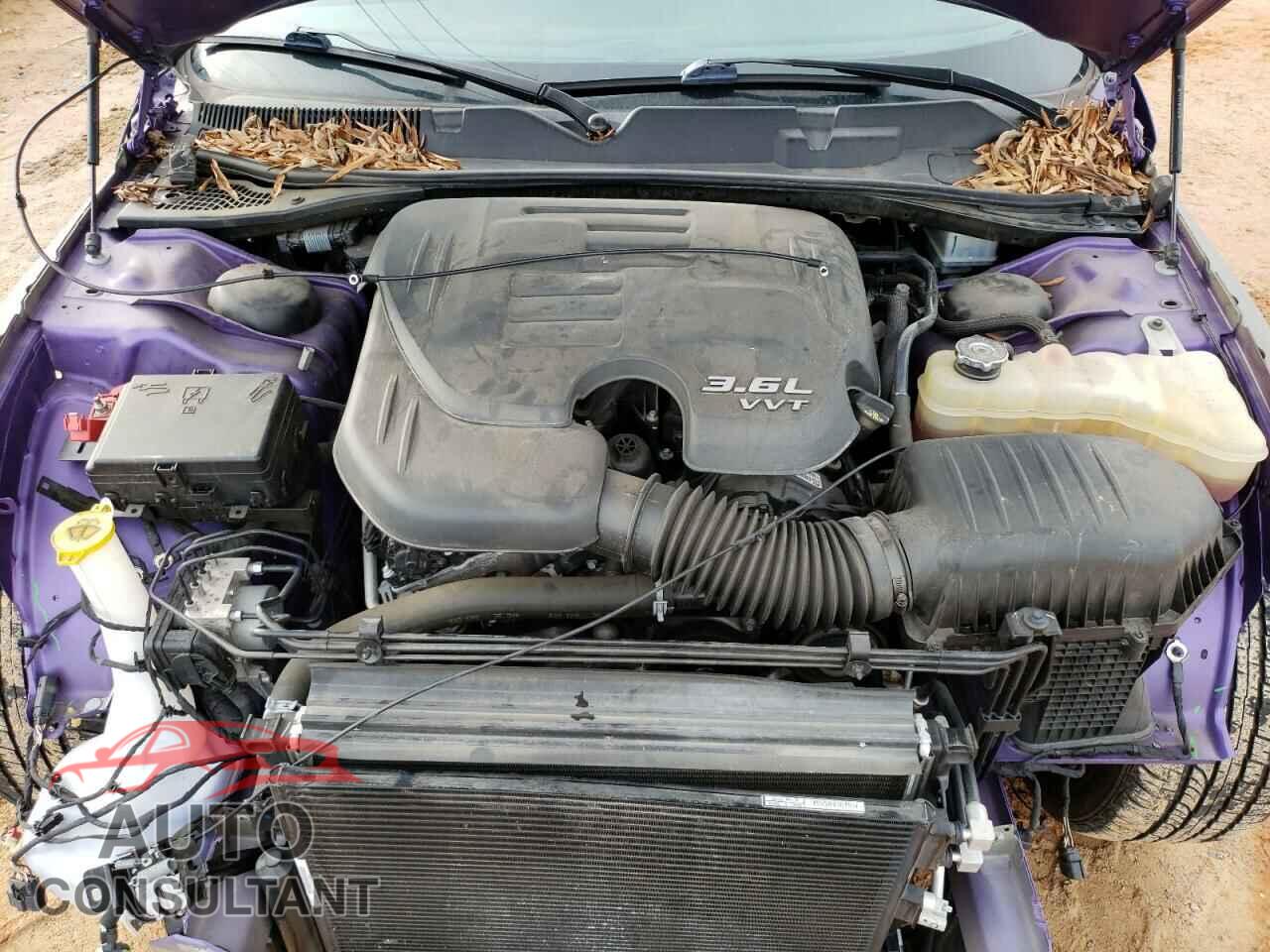 DODGE CHALLENGER 2019 - 2C3CDZAG3KH661543
