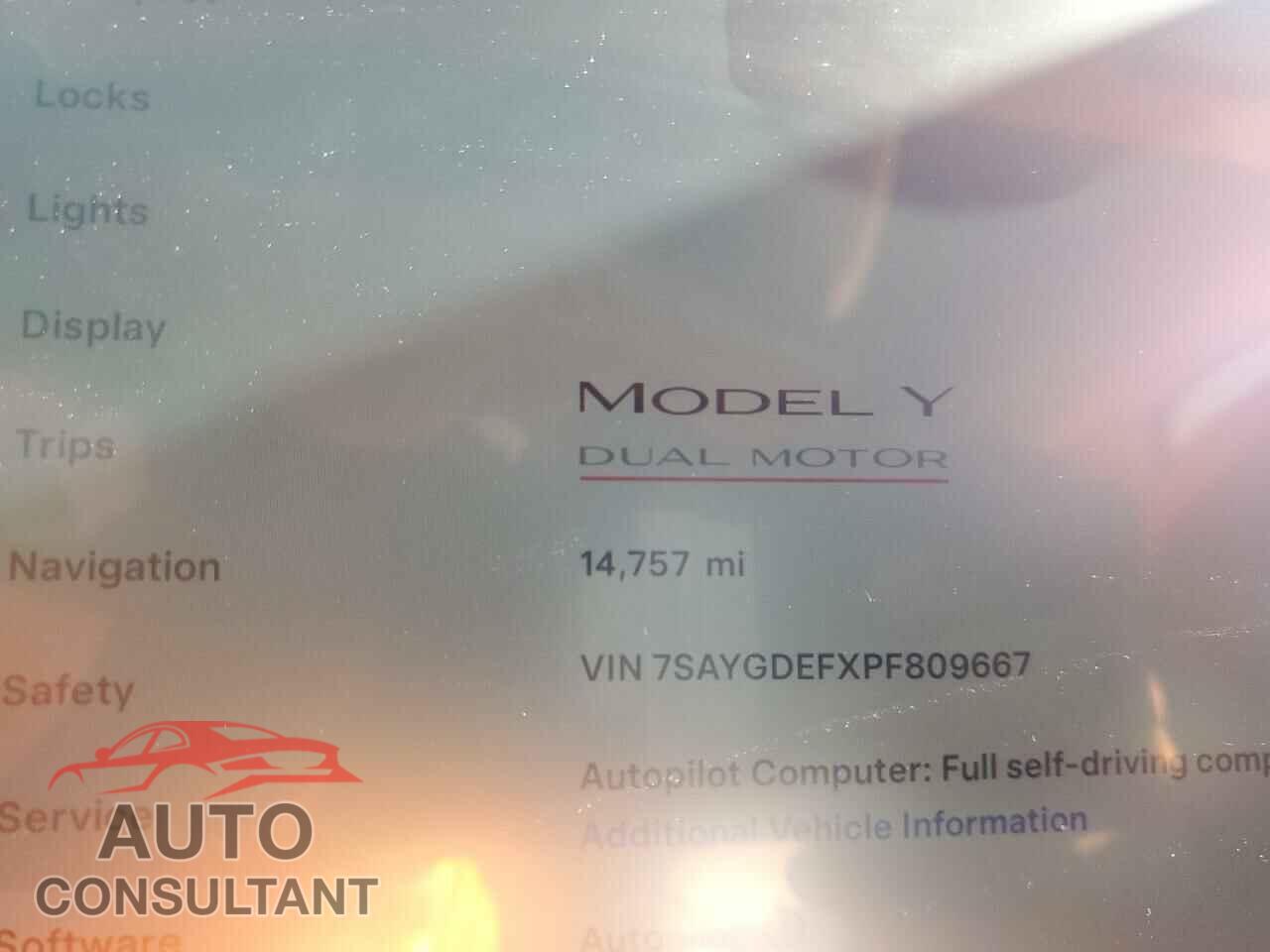 TESLA MODEL Y 2023 - 7SAYGDEFXPF809667