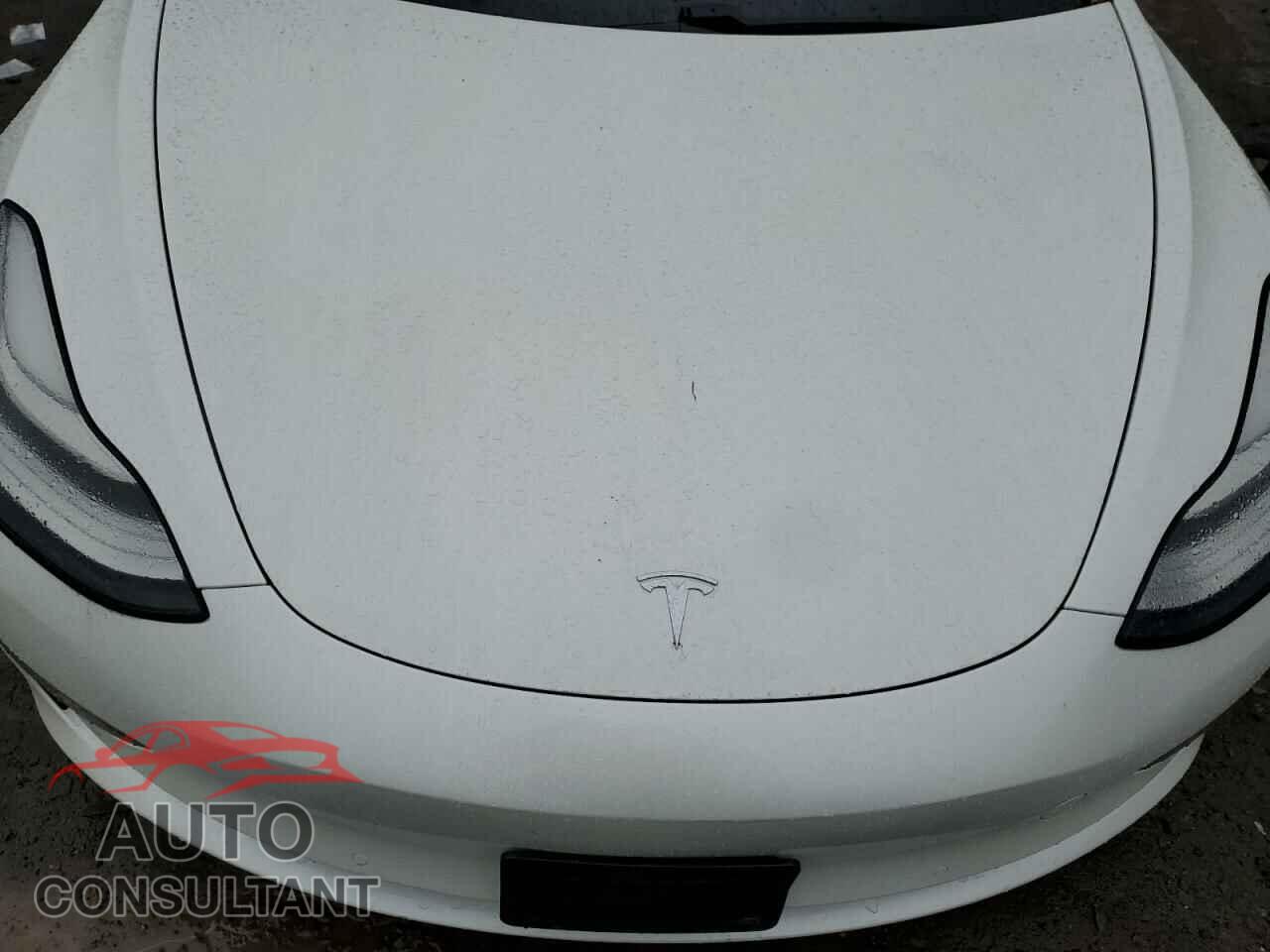 TESLA MODEL 3 2020 - 5YJ3E1EB8LF744448