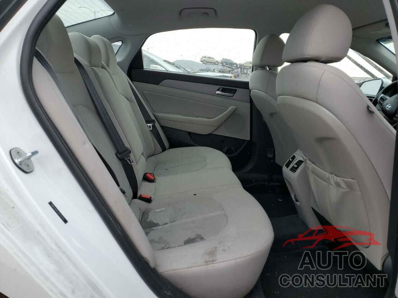 HYUNDAI SONATA 2019 - 5NPE34AF2KH781181