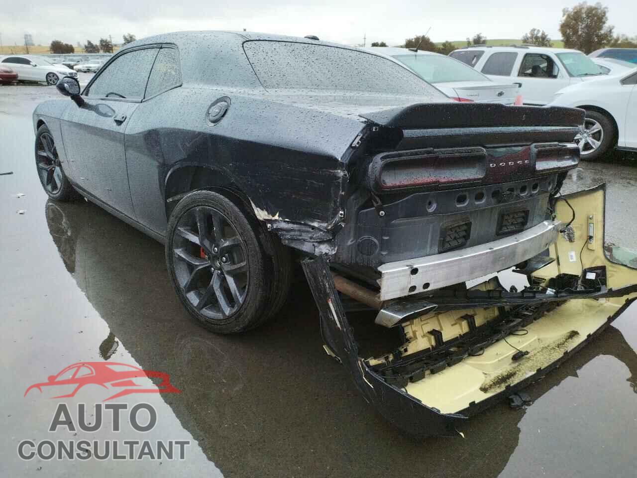 DODGE CHALLENGER 2019 - 2C3CDZBT7KH660472