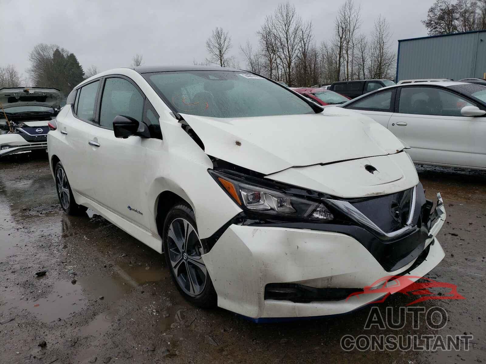 NISSAN LEAF 2019 - 1N4BZ1CP0KC303834