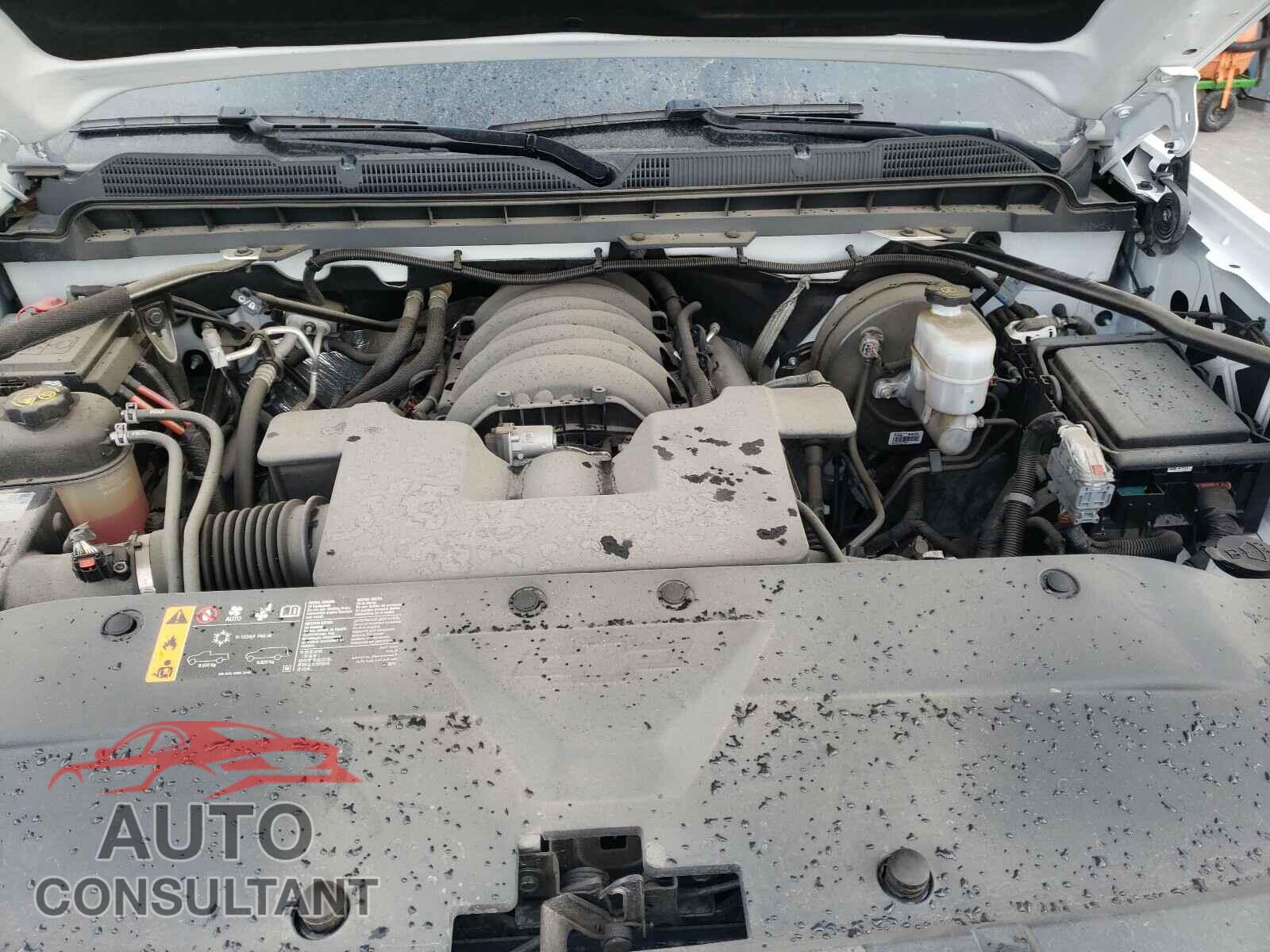 CHEVROLET SILVERADO 2019 - 2GCVKPEC0K1106256