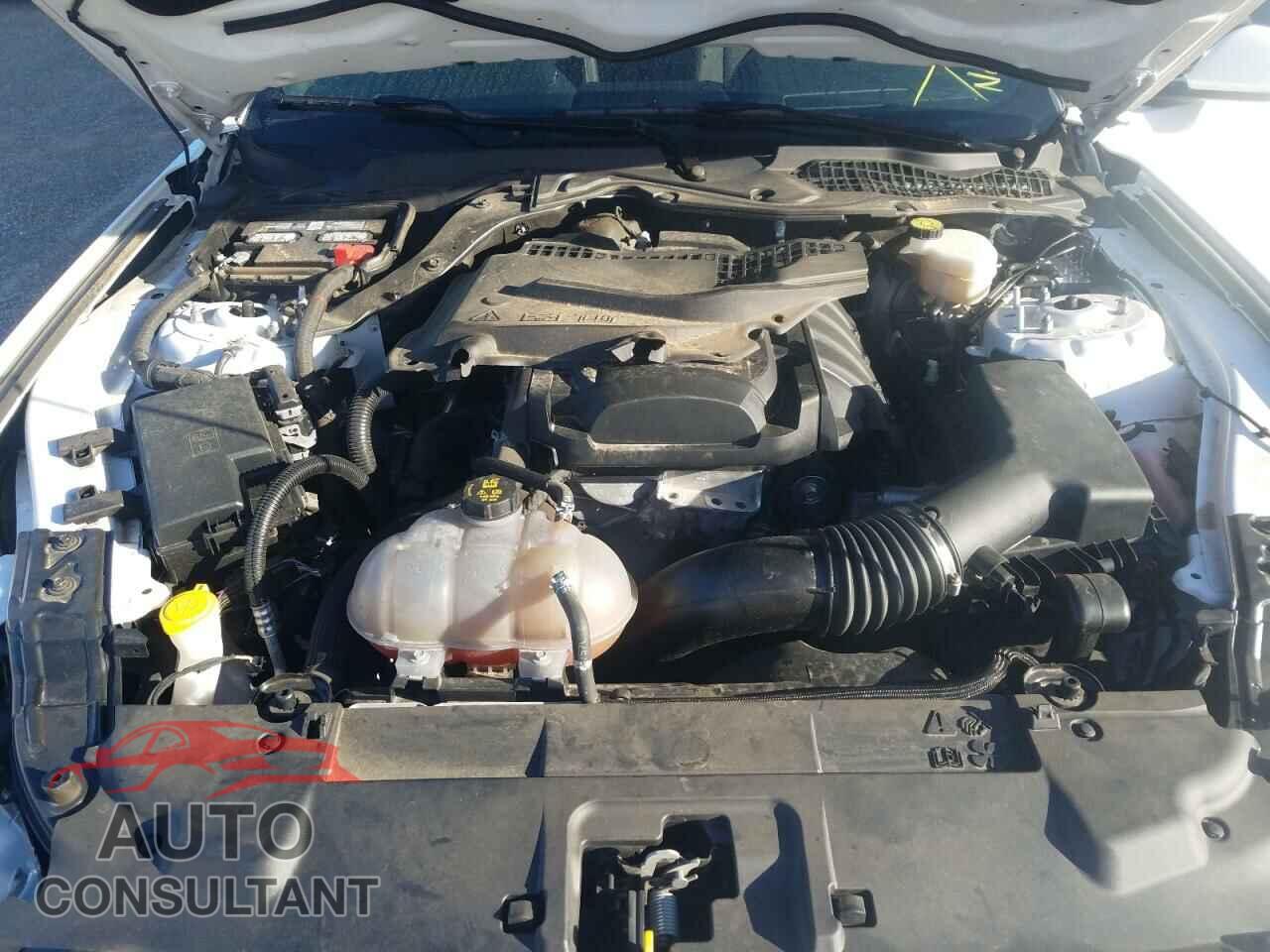 FORD MUSTANG 2019 - 1FA6P8TH0K5132497