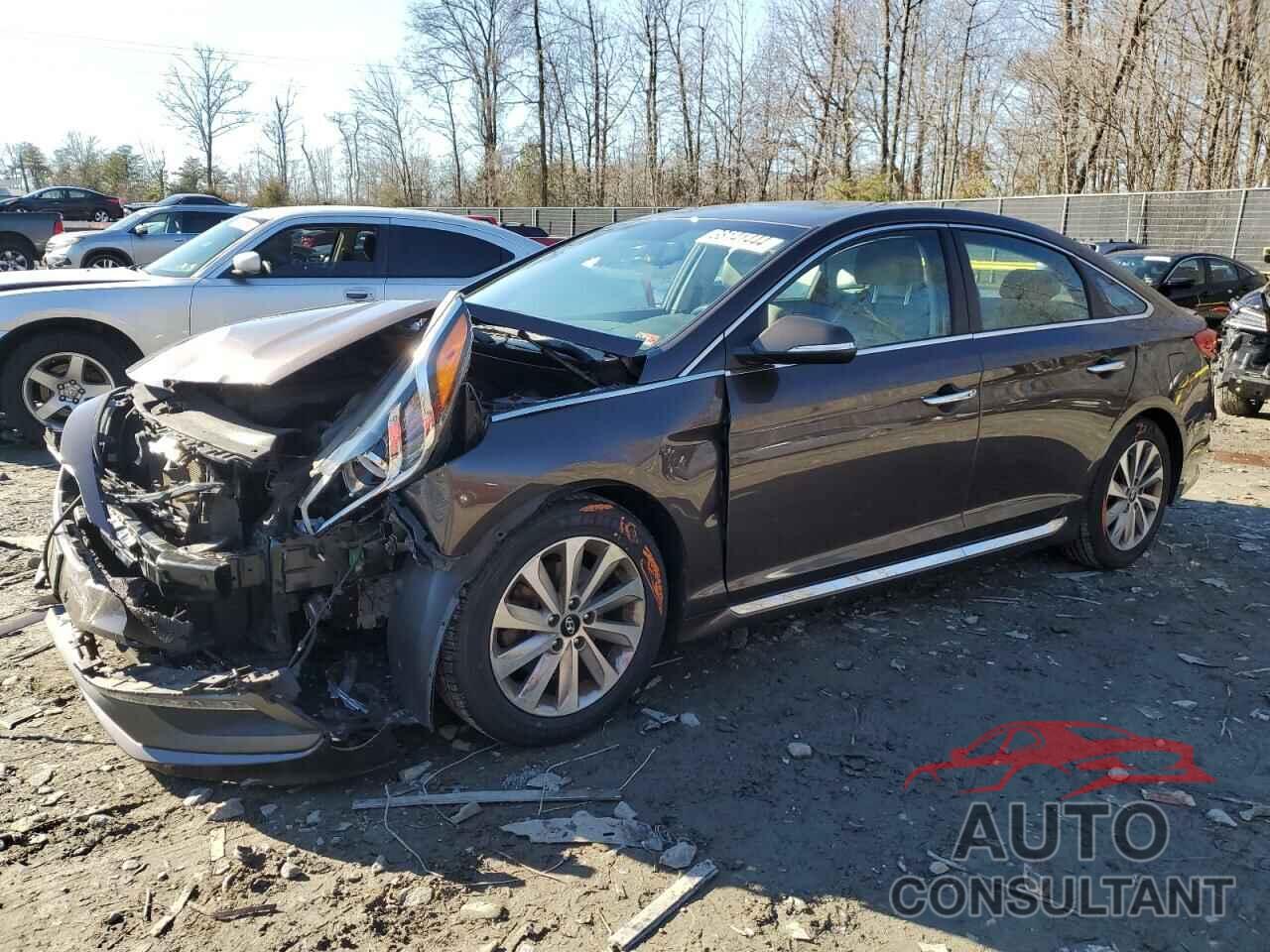 HYUNDAI SONATA 2017 - 5NPE34AF0HH529468