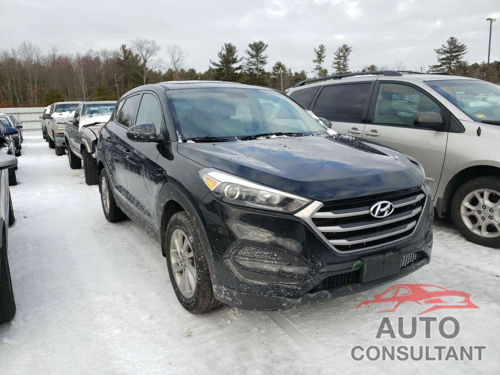 HYUNDAI TUCSON 2018 - KM8J2CA4XJU718999