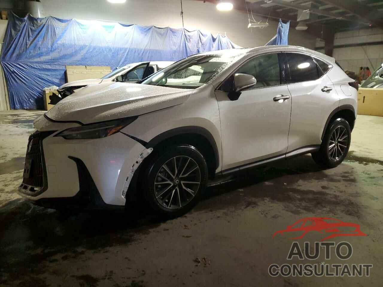 LEXUS NX 350 2022 - 2T2GGCEZ7NC006292