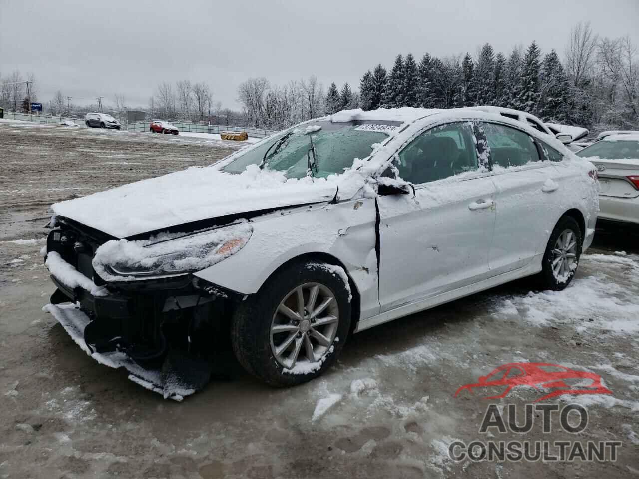 HYUNDAI SONATA 2018 - 5NPE24AF9JH673173
