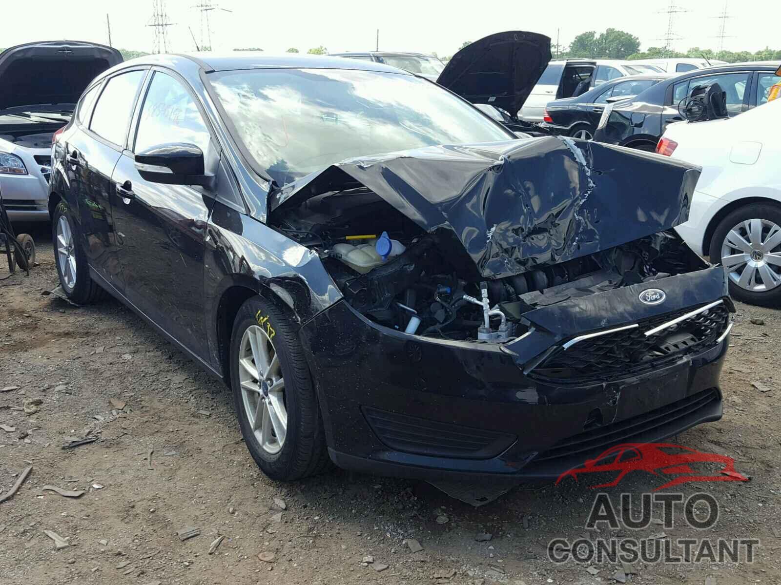 FORD FOCUS 2016 - 1FADP3K26GL242819