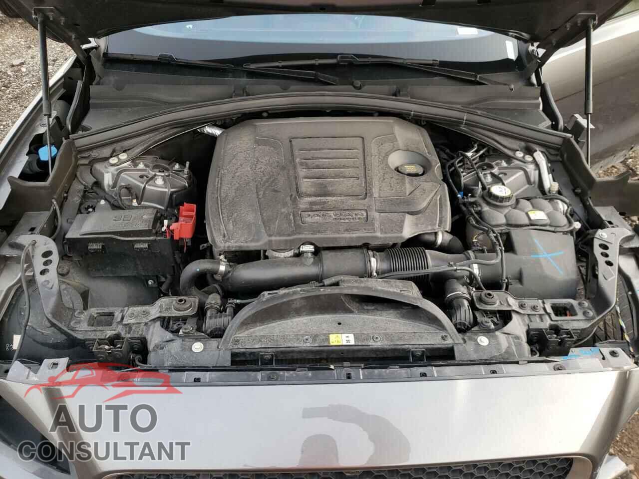 JAGUAR F-PACE 2019 - SADCL2FX9KA366187