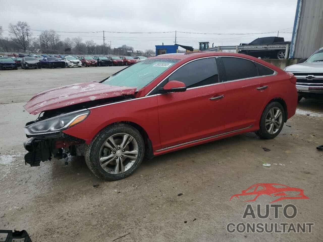 HYUNDAI SONATA 2018 - 5NPE34AF4JH712166