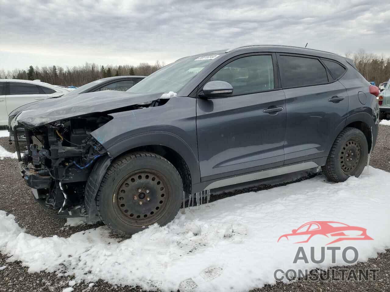 HYUNDAI TUCSON 2017 - KM8J33A45HU583129