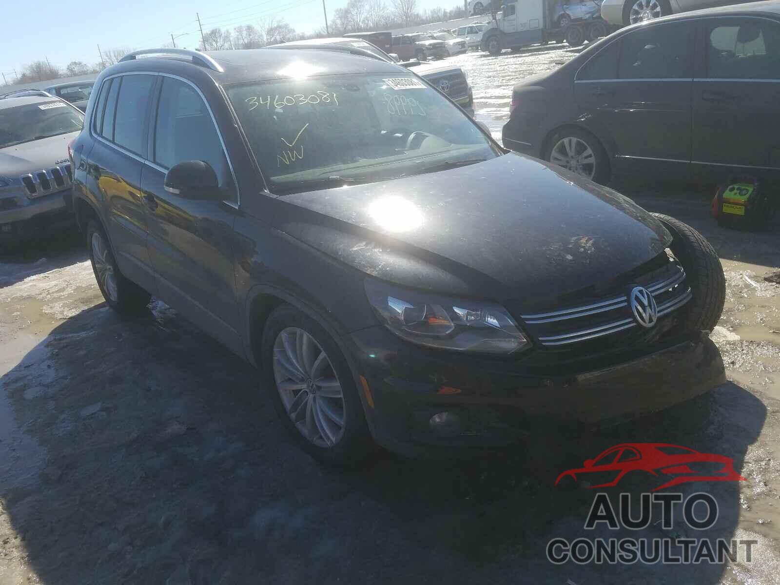 VOLKSWAGEN TIGUAN 2016 - WVGBV7AX9GW506556