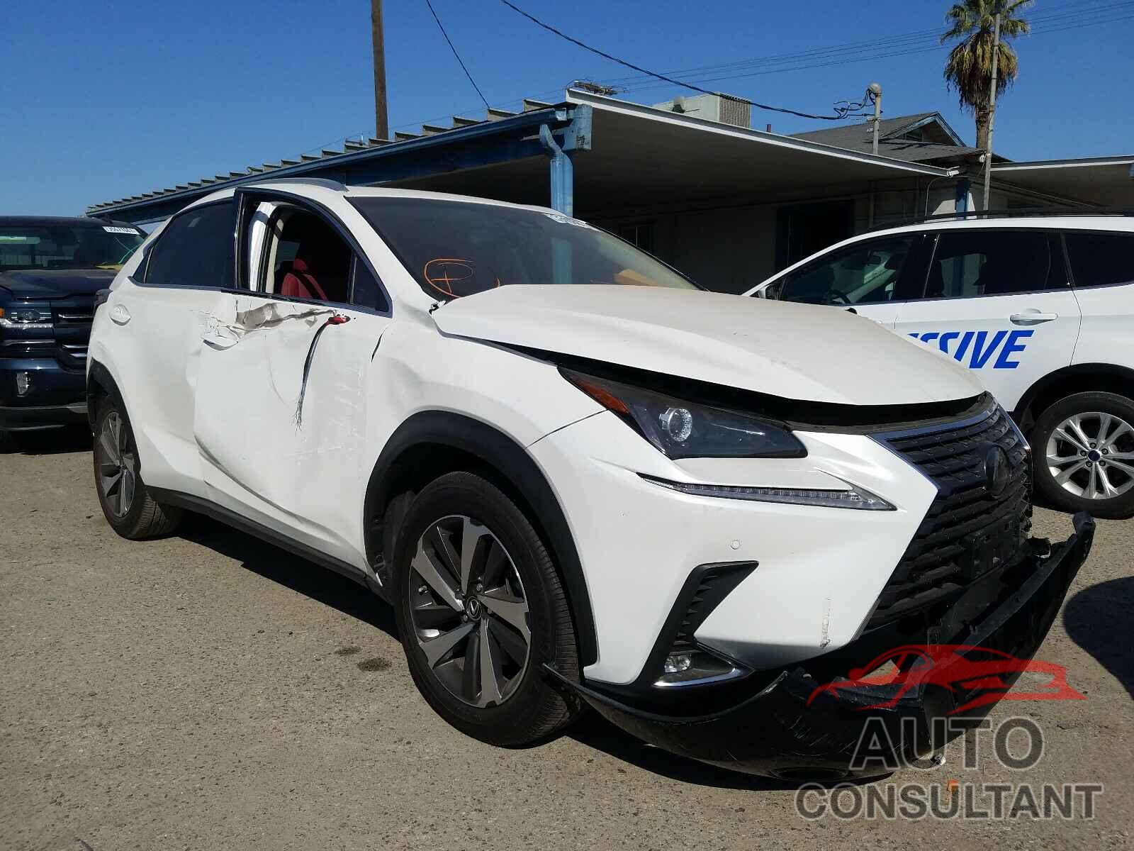 LEXUS NX 2019 - JTJYARBZ1K2135296