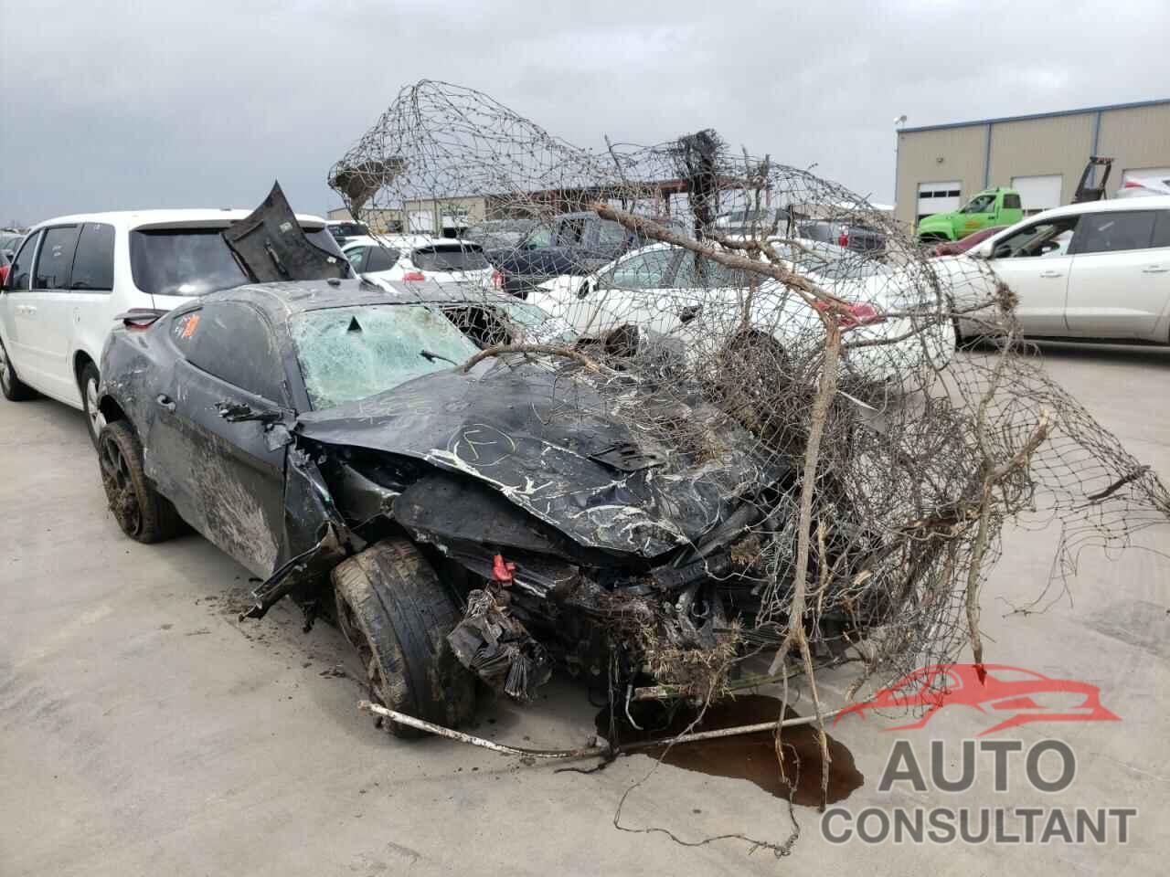 2019 MUSTANG FORD