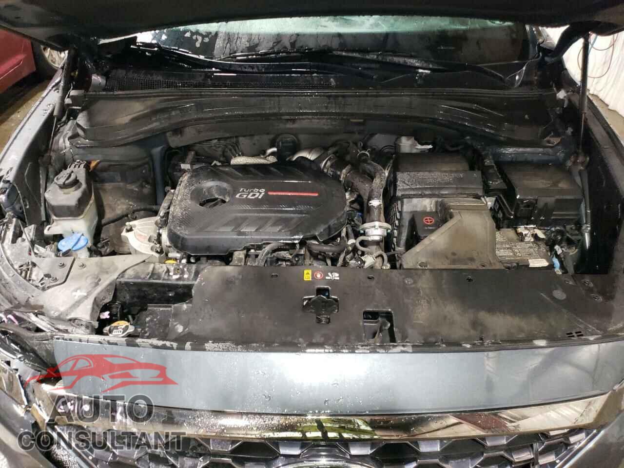 HYUNDAI SANTA FE 2020 - 5NMS5CAA8LH257754