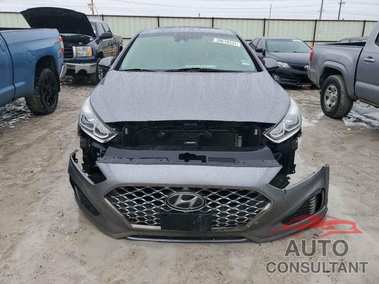 HYUNDAI SONATA 2019 - 5NPE34AFXKH764922