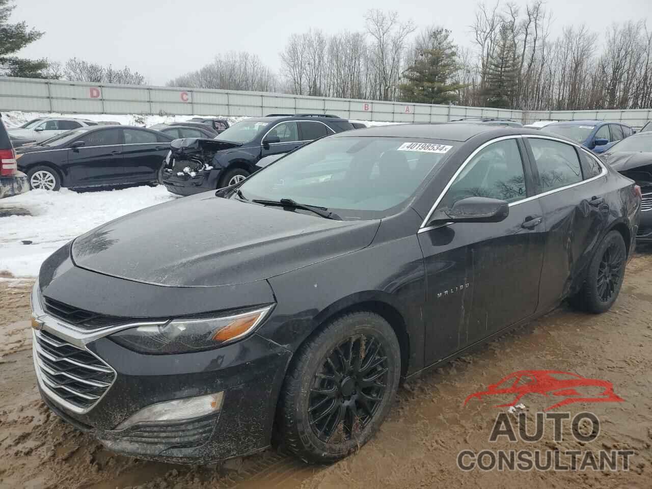CHEVROLET MALIBU 2019 - 1G1ZD5ST7KF164869