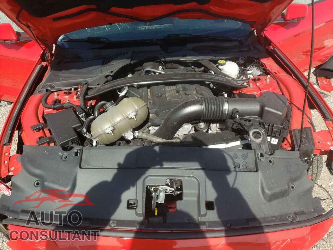 FORD MUSTANG 2019 - 1FA6P8TH4K5105965